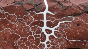 Микокарст: самовосстанавливающиеся объекты из камня с помощью грибов