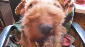 День сердца с друзьями-IX-2025