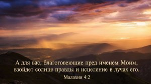 Общее собрание 31.8.2025