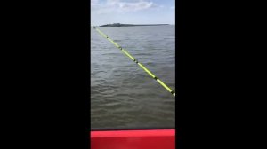 Рыбалка на окуня в Астрахани