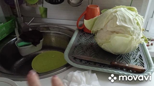 29 сентября ремонт на кухне,что купила на Вайлдберриз,из капусты готовлю