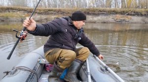 ЩУКИ СОБРАЛИСЬ В ОДНОМ МЕСТЕ