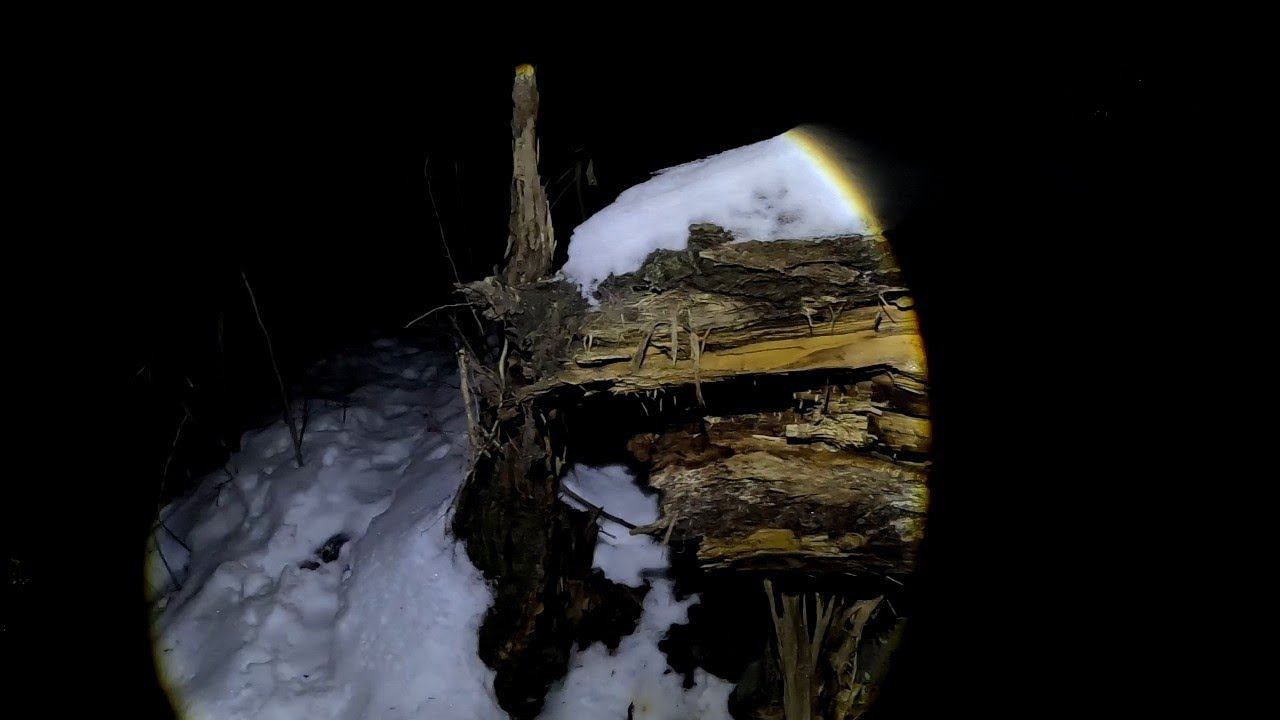Вылазка на Лихоборку Ночью.Тест Налобного Фонаря. смотреть онлайн