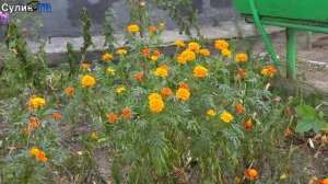 Уютные дворики