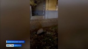 Следственный комитет возбудил уголовное дело по факту травмирования ребенка в Ангарске