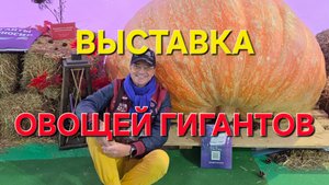 Выставка в Аптекарском огороде