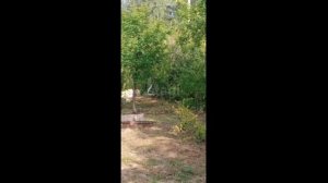 copy_6D0DD160-3D34-441B-97A3-FB8FC32D8DFD