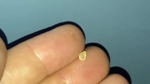 Опал- малая грушенька 5х3х2  №452