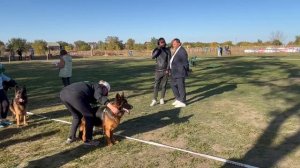 ЮНИОРЫ СУКИ ДШ / Кубок НКП РОСТОВ-НА-ДОНУ 28 сентября`25 Z.Najdovski, Е.Близнецова  Моно н/о