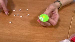 Значок Ромашка