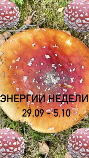 Время провокаций.