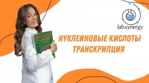 Нуклеиновые кислоты. Транскрипция
