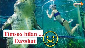 Bir marta bo'lsa ham suzishga arziydigan 12 ta hovuz - Dunyo go'zal !!!