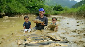 Ловля рыбы в пруду и продажа на рынке. Жизнь во Вьетнаме