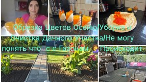 Я их Пику без Остановки 🔥БУЛОЧКИ С ИКРОЙ/Десерт Панакота с Персиками 🍑Работа Кипит на Даче