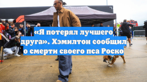 «Я потерял лучшего друга». Хэмилтон сообщил о смерти своего пса Роско