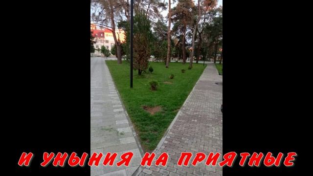 СКВЕР