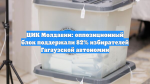 ЦИК Молдавии: оппозиционный блок поддержали 82% избирателей Гагаузской автономии