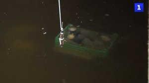 Камышовое шоссе больше не топят нечистоты – аварию устранили