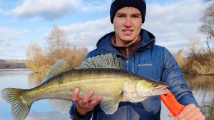 Судак ломает подсак!