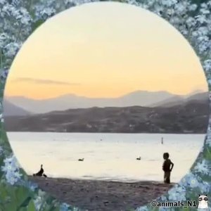 Преступление - наказание