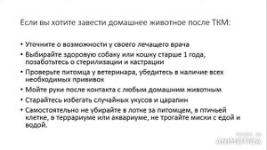 Домашние животные и трансплантация гемопоэтических стволовых клеток