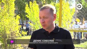 В Пензе продолжаются масштабные работы по озеленению
