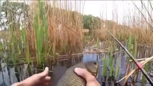 Видео от За Трофеем: Охота и Рыбалка