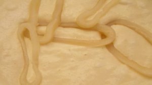 Кальмар, жаренный в кляре