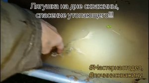 Лягушка на дне скважины, чистка скважин, Павел, #мастернастодел Чебоксары