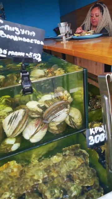 Пляж Чайка / город Адлер / Чёрное море/ сентября 2025 года смотреть онлайн