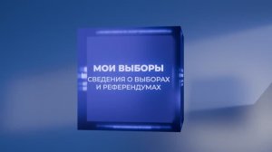 Цифровые сервисы ЦИК