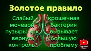 Неконтролируемое мочеиспускание: почему это происходит?