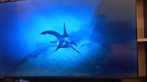 Играем за акулу в гта5