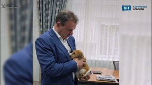 Четвероногий подарок от бойца получил глава Бабынинского округа