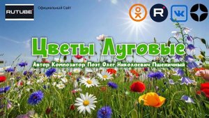 Цветы Луговые