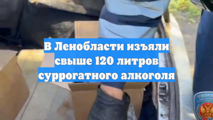 В Ленобласти изъяли свыше 120 литров суррогатного алкоголя