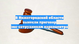 В Нижегородской области вынесли приговор экс-сотрудникам наркоцентра
