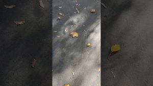 30-09-2025 Лачетти