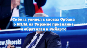 Сибига увидел в словах Орбана о БПЛА на Украине признание и обратился к Сийярто