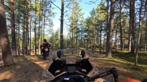 #96-12 Off-road Орехово - Ладога | KTM | Kove | BMW | Voge | GR500 | Husqvarna  | CF-Moto | Honda