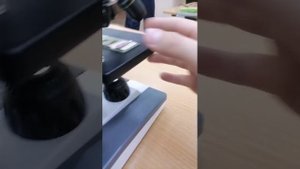 микроскоп
