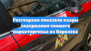 Росгвардия показала кадры задержания спящего наркоторговца из Королева