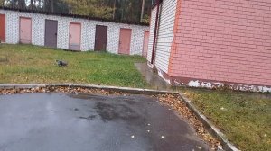 Фея и дождик 🐕 ❣️