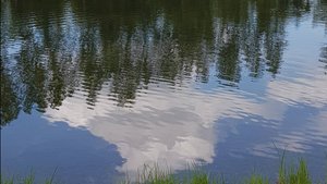 Мой идеальный мир