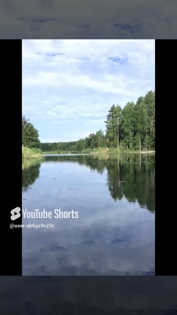 Ленинградская область. Хвойное. 24.06.2024. Вуокса ранним утром. Видеопейзаж