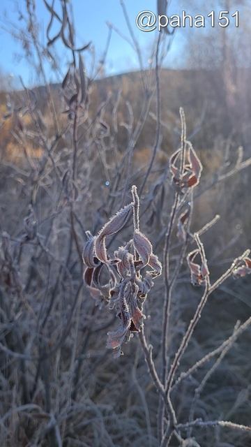 ОСЕННИЙ ХРУСТАЛЬ (НАЧАЛО) смотреть онлайн