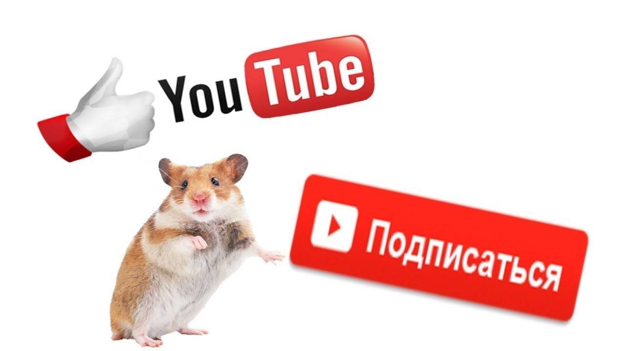 блины
