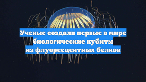 Ученые создали первые в мире биологические кубиты из флуоресцентных белков