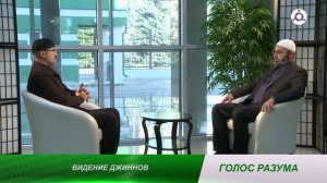 Голос разума. Видение джиннов